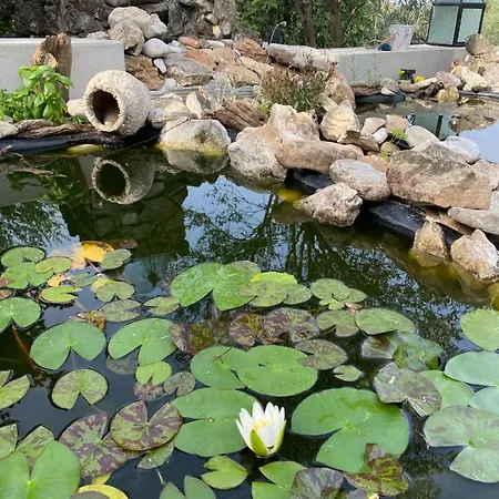 E L Urban Villa. Villa *