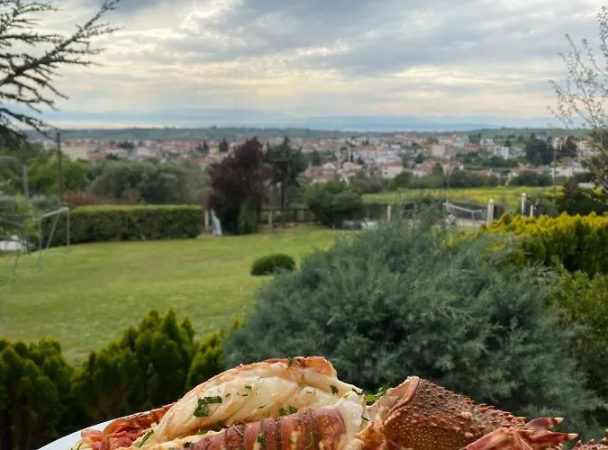 E L Urban Villa. Villa