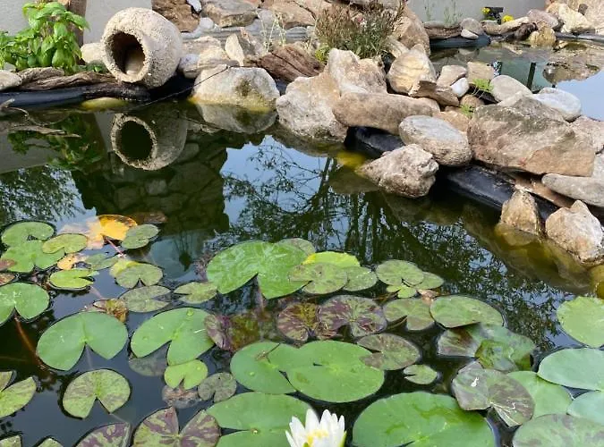 E L Urban Villa. 别墅 *